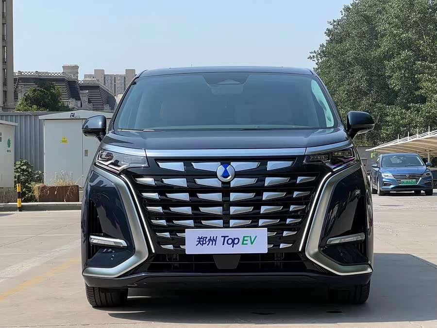 BYD D9