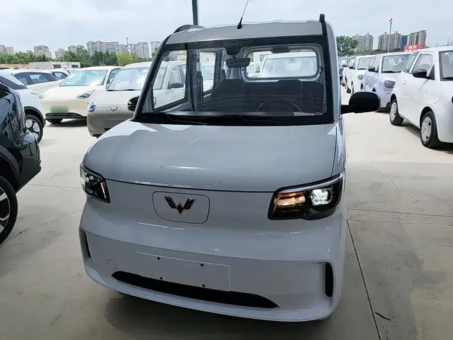 Wuling Zhiguang New Energy