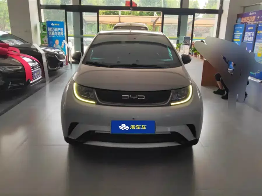 BYD Dolphin