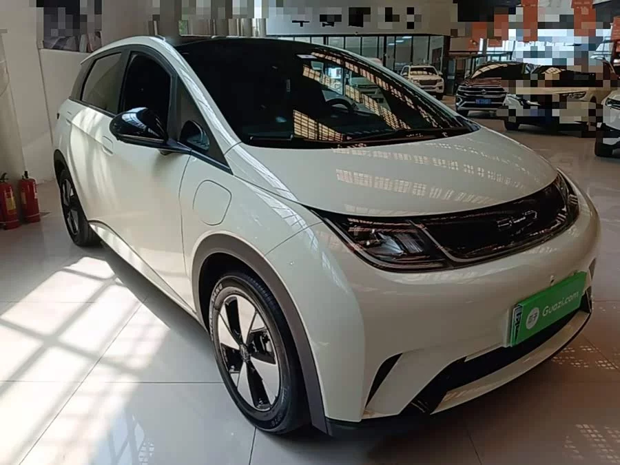 BYD Dolphin
