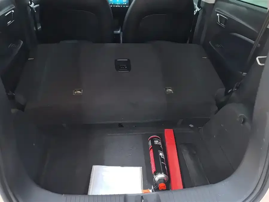 Leapmotor T03