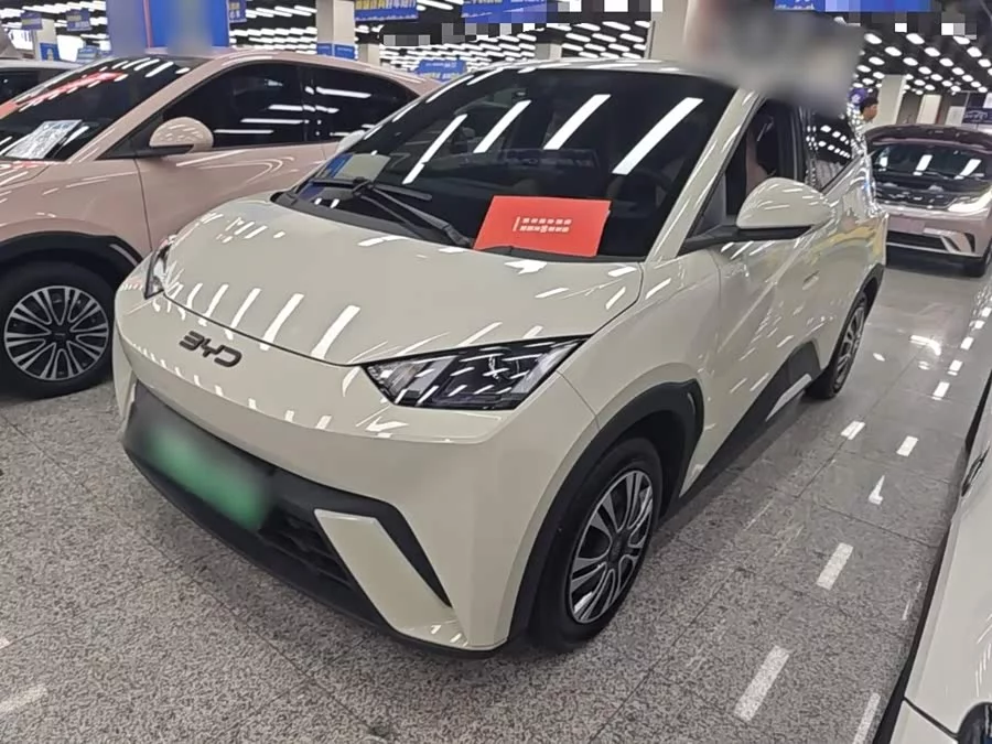 BYD Seagull
