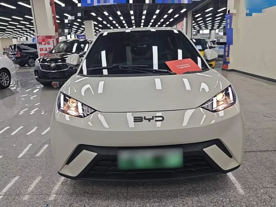 BYD Seagull