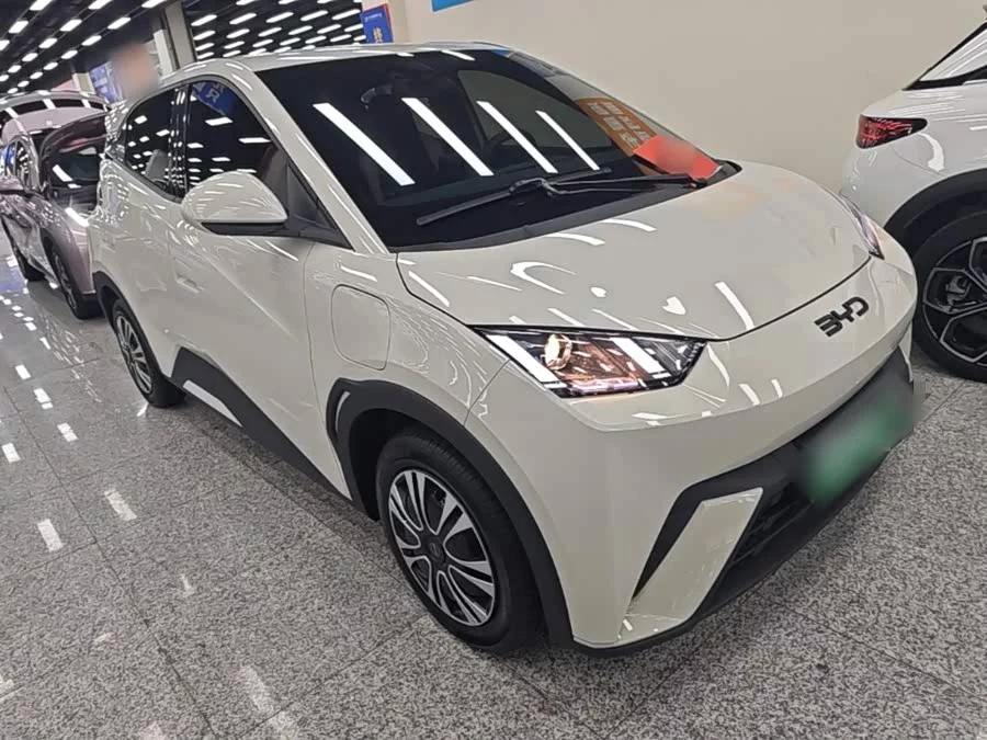 BYD Seagull