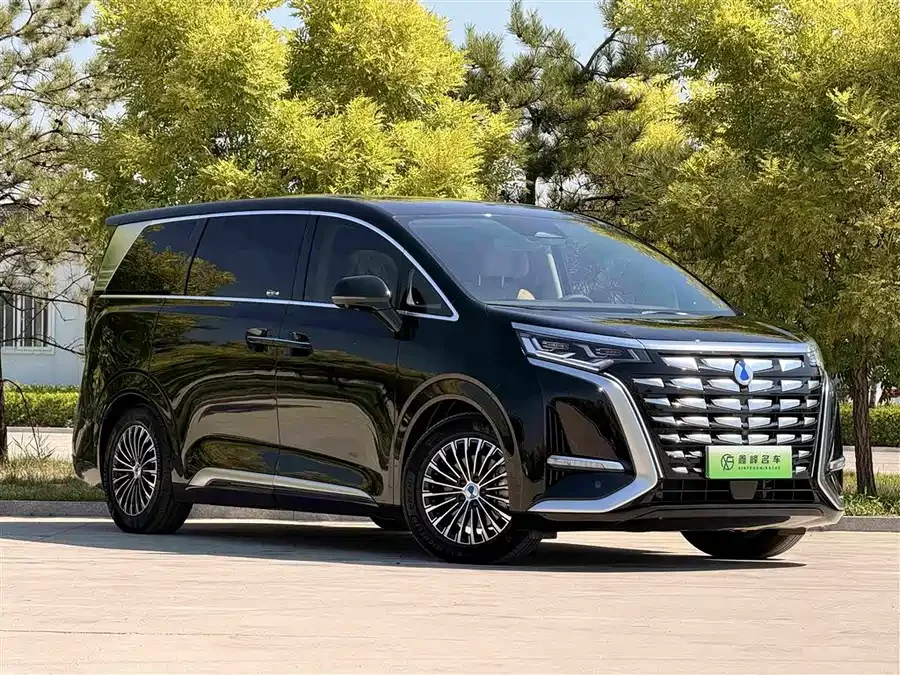 BYD D9