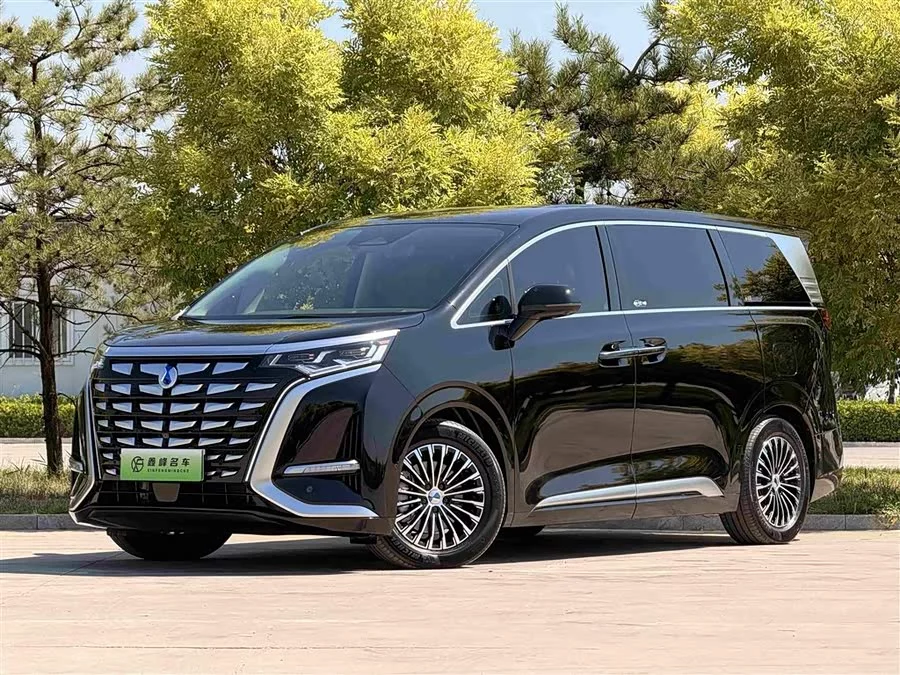 BYD D9