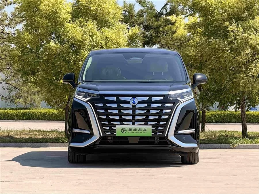 BYD D9