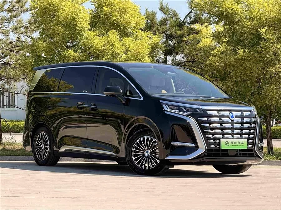 BYD D9