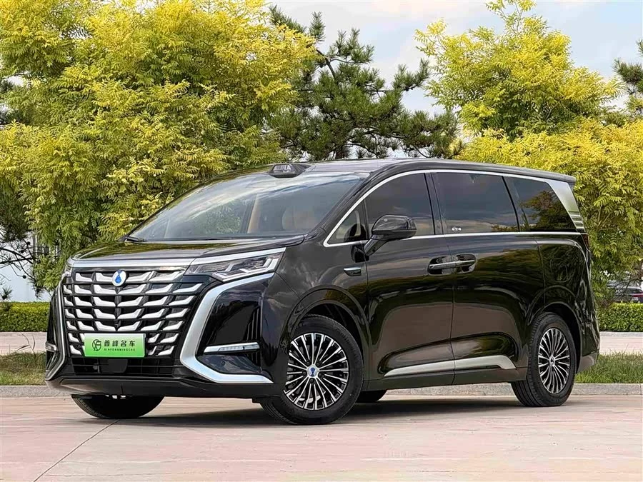 BYD D9