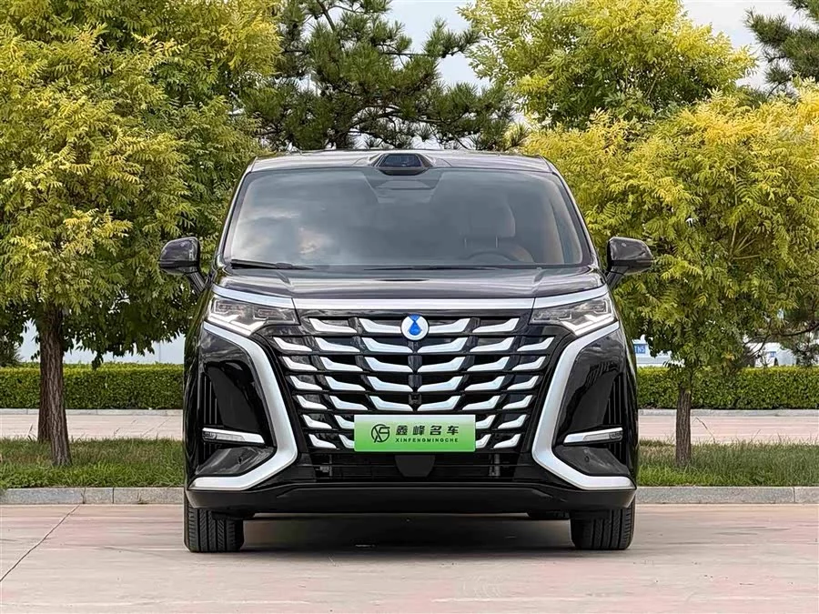 BYD D9