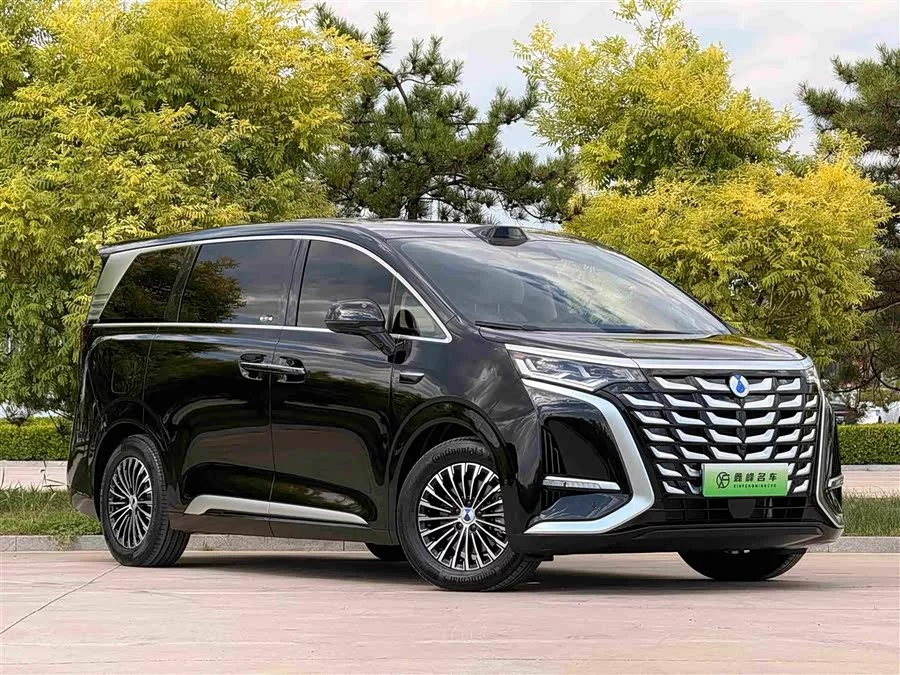 BYD D9