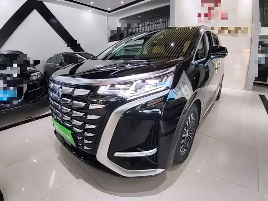BYD D9