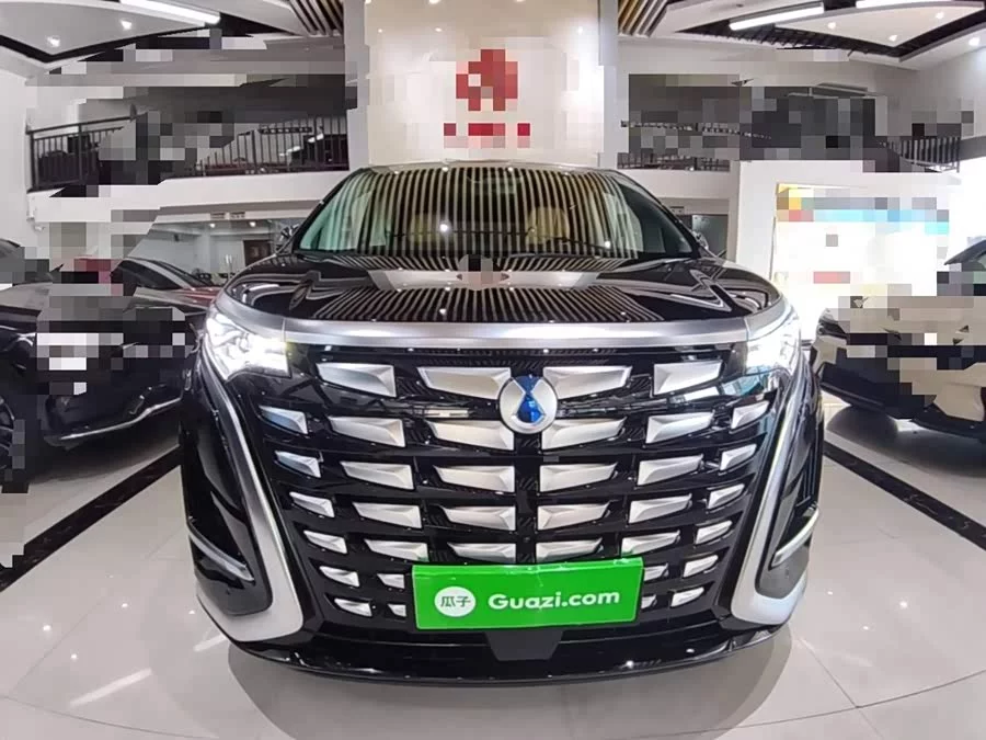 BYD D9