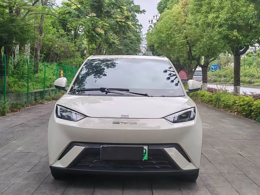 BYD Seagull
