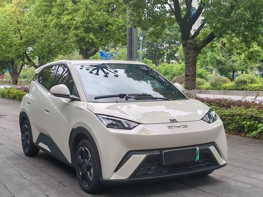 BYD Seagull