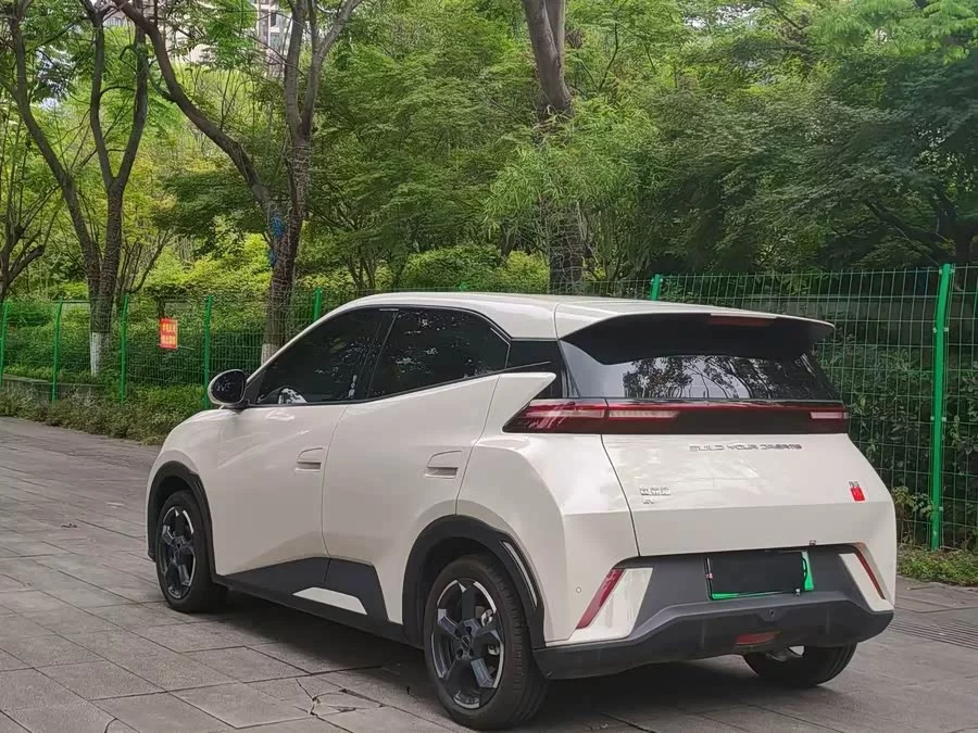 BYD Seagull