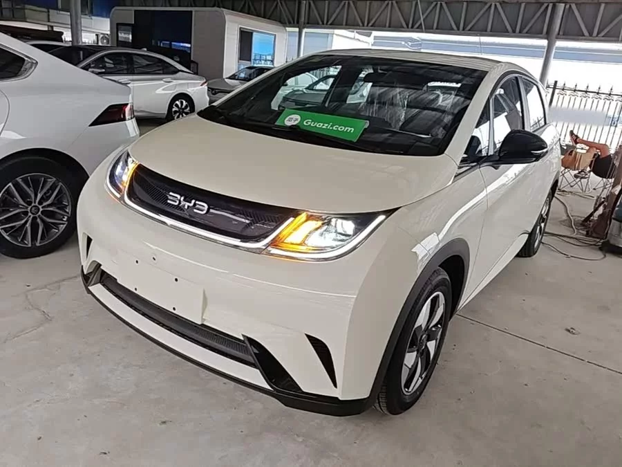 BYD Dolphin