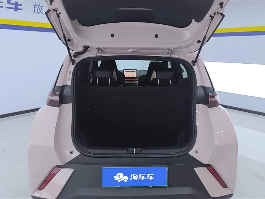 BYD Seagull