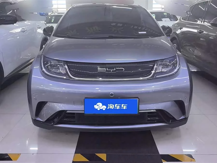 BYD Dolphin