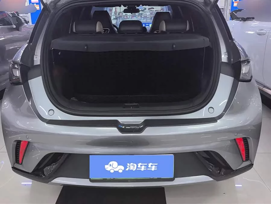 BYD Dolphin
