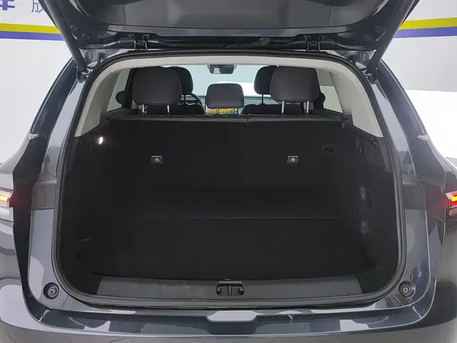Leapmotor C10