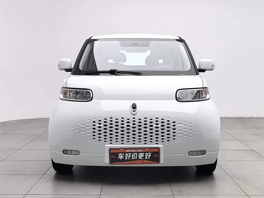 ORA White cat