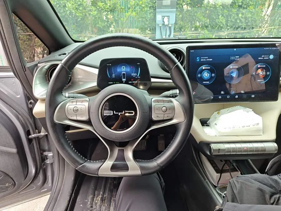 BYD Dolphin