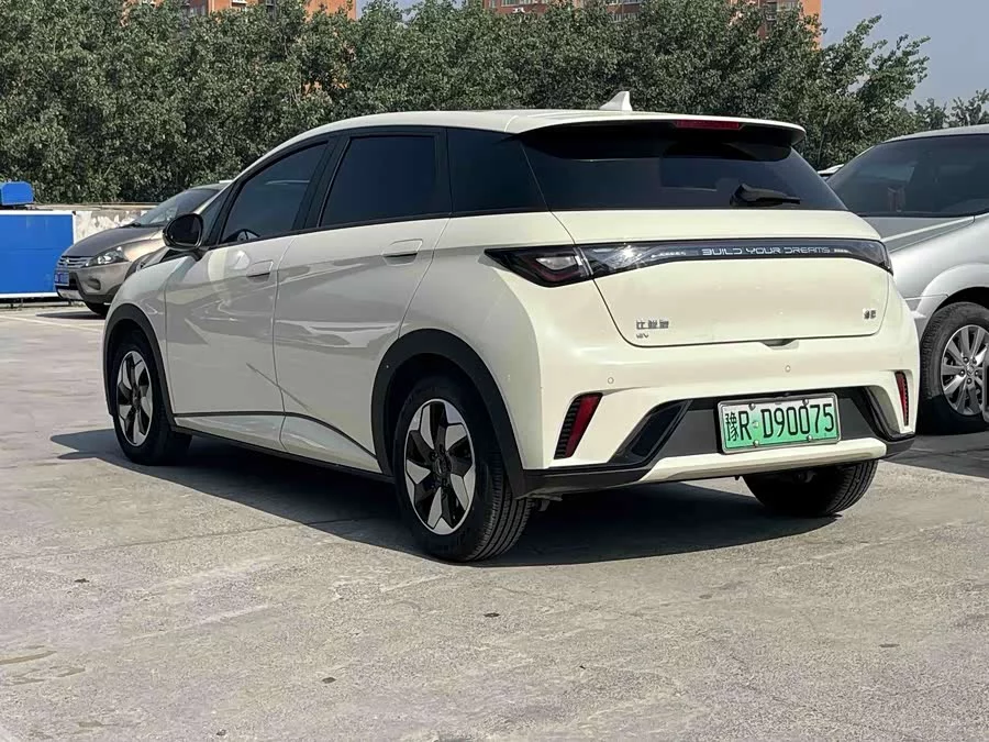 BYD Dolphin