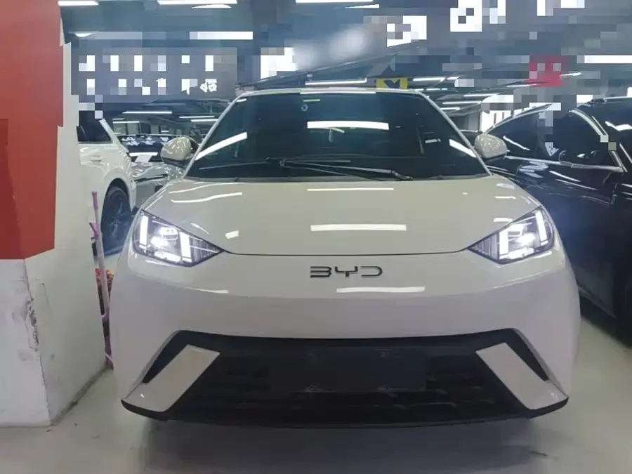 BYD Seagull
