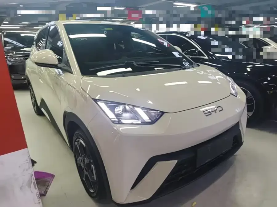 BYD Seagull