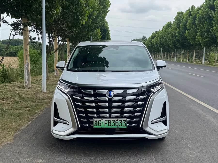 BYD D9