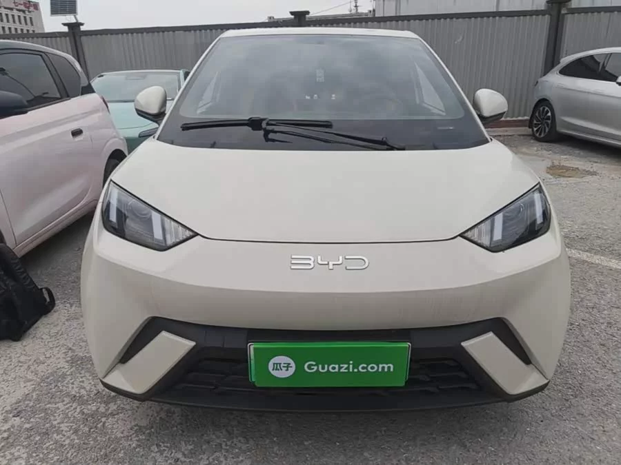 BYD Seagull
