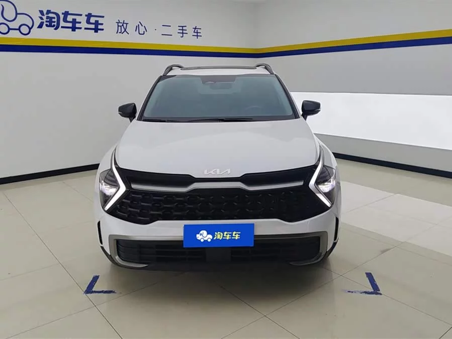 Kia Lion Platinum