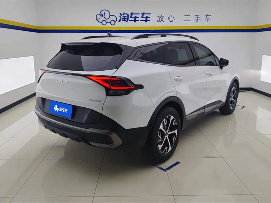 Kia Lion Platinum