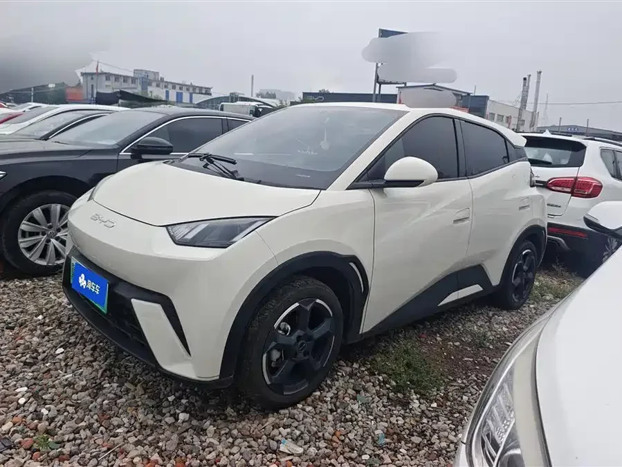 BYD Seagull