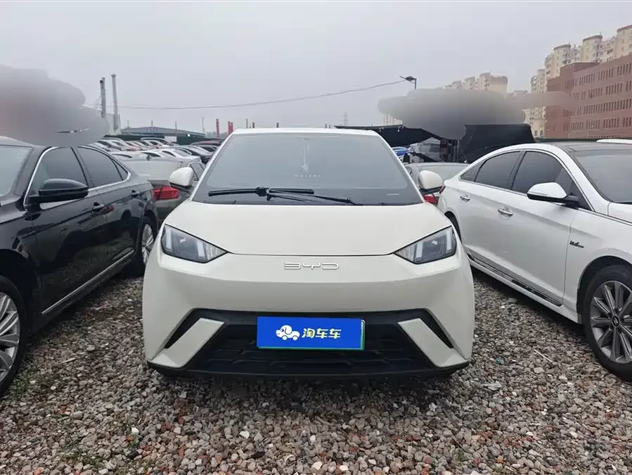 BYD Seagull