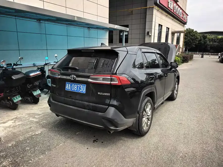 Toyota Wildlander
