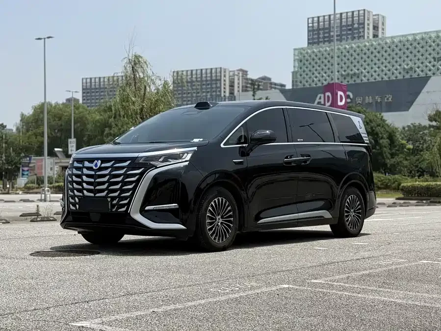 BYD D9