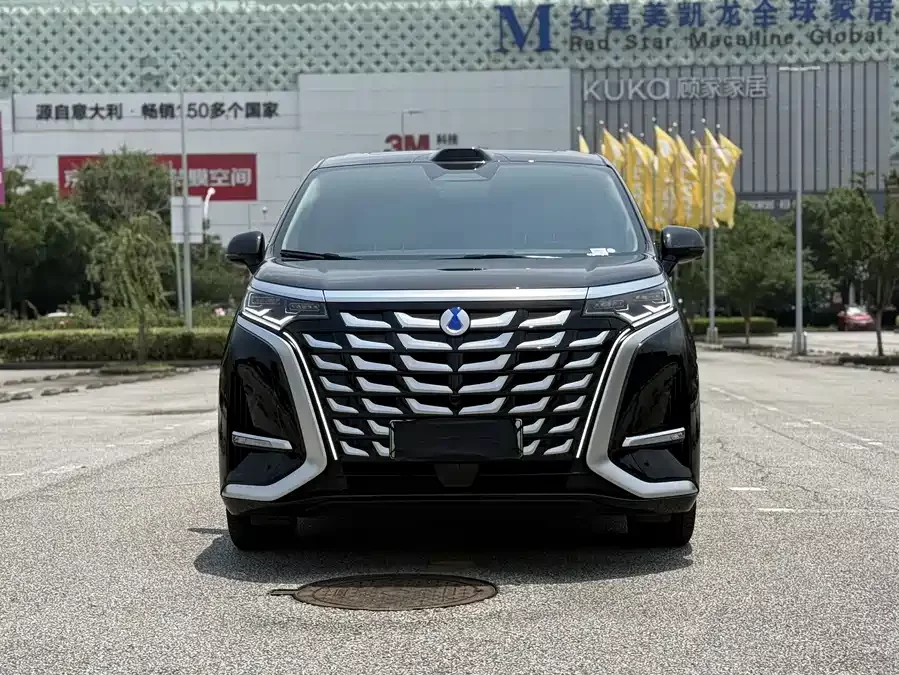 BYD D9