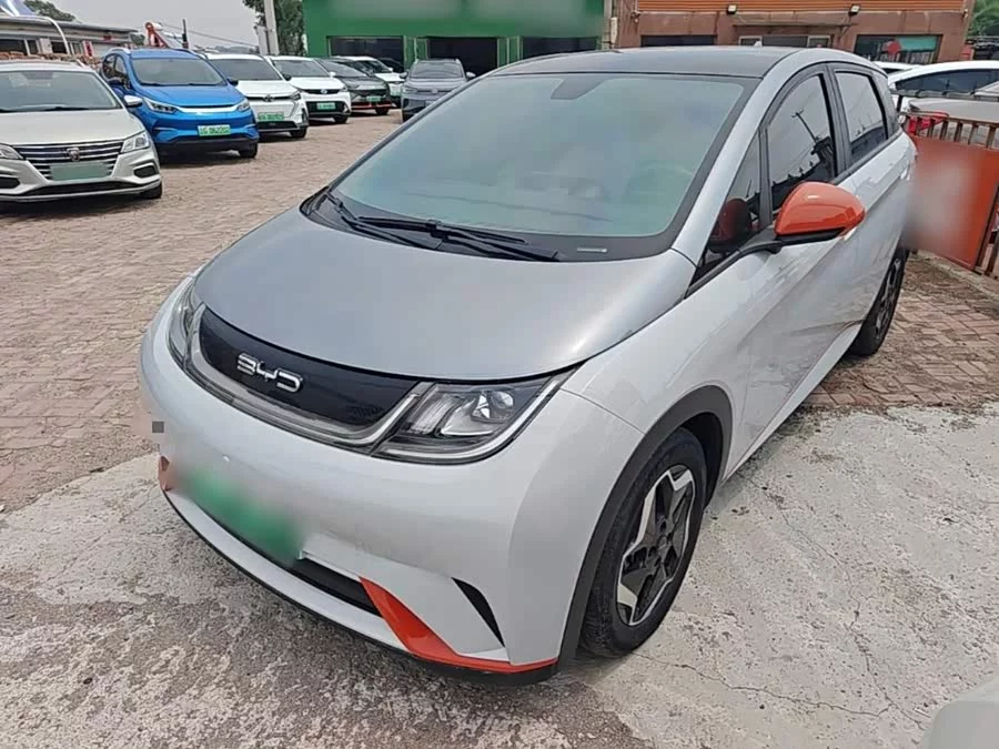 BYD Dolphin