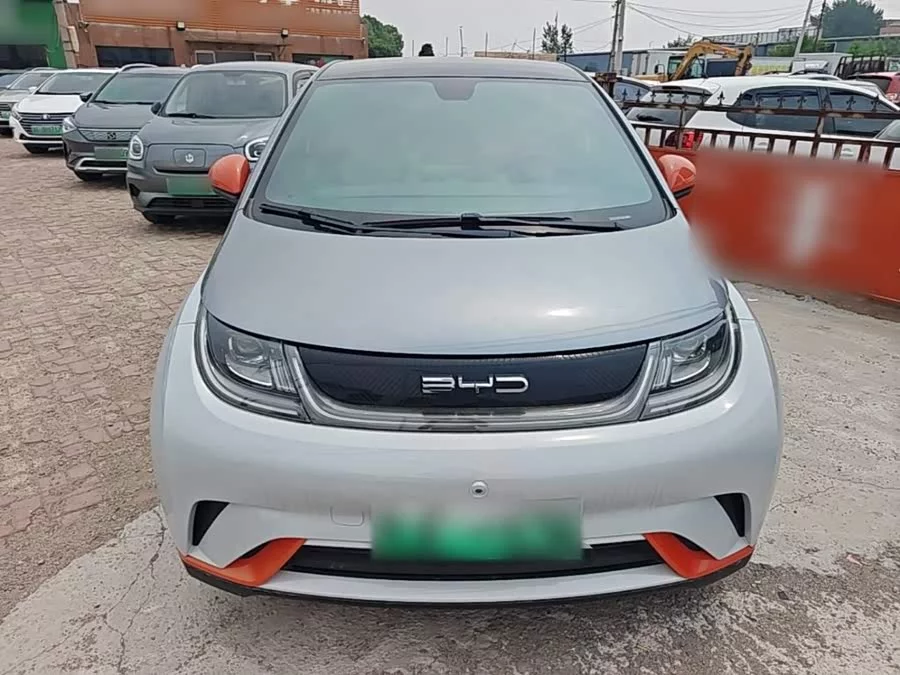 BYD Dolphin