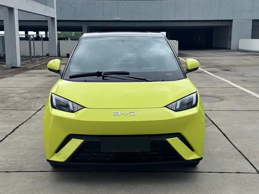 BYD Seagull