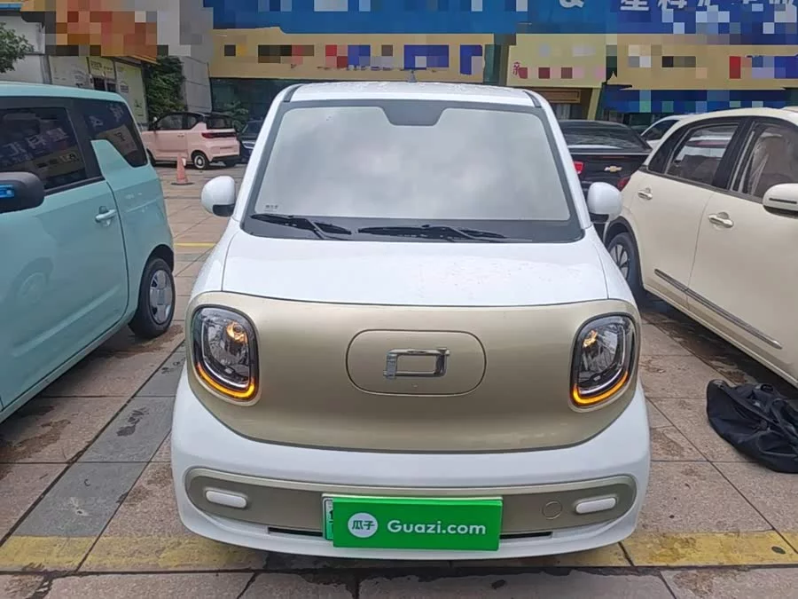 Pentium pony