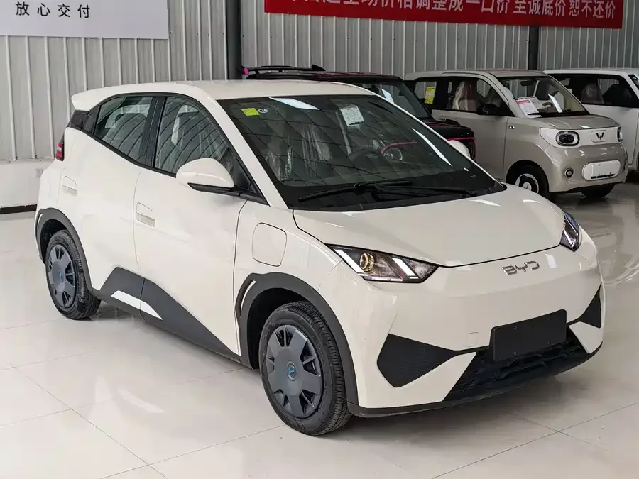 BYD Seagull