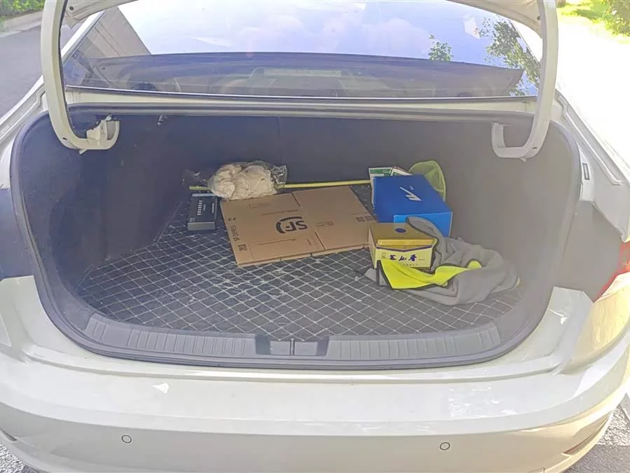 Volkswagen Sagitar