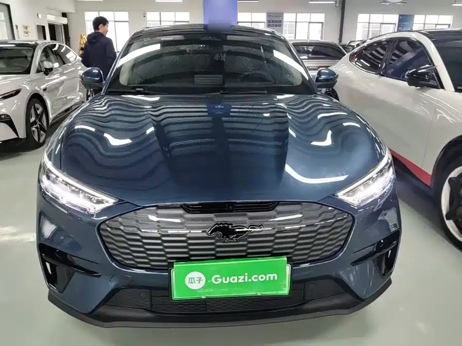Ford electric horse