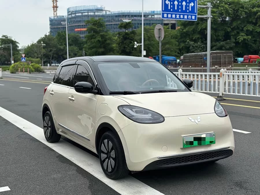 Wuling Bingo
