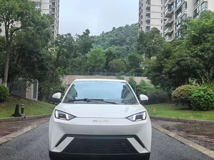 BYD Seagull