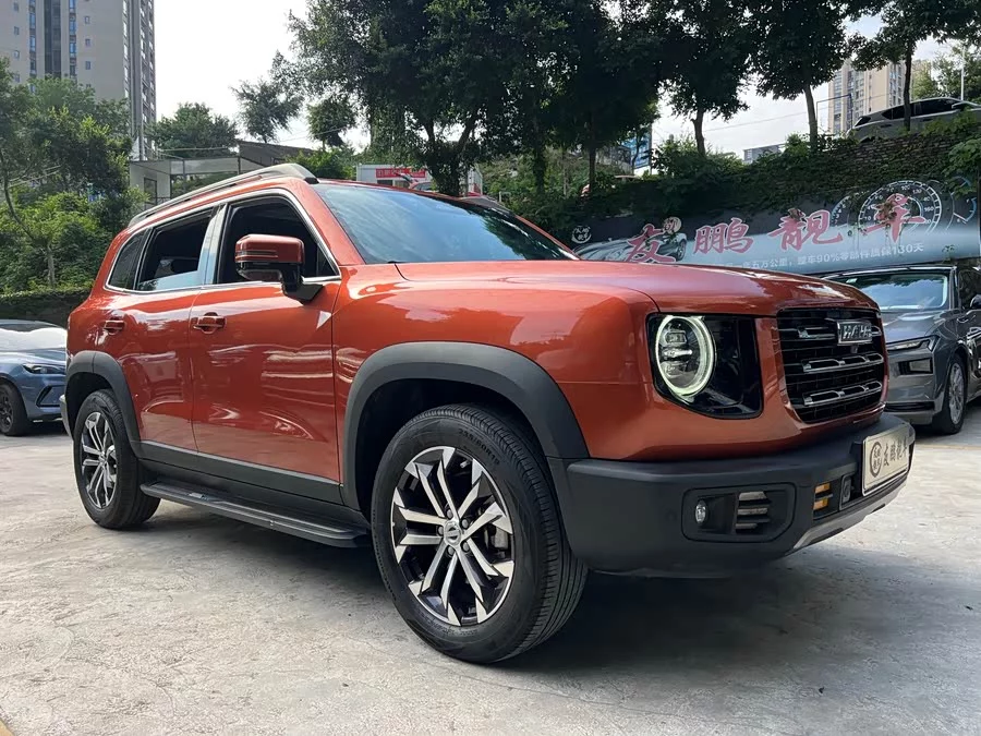 Haval Big Dog DaGou