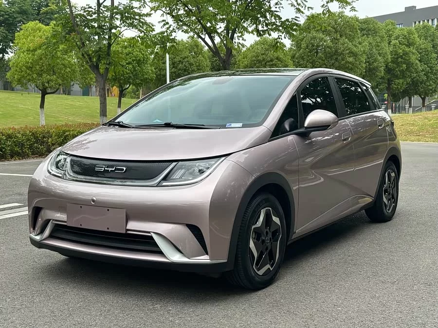 BYD Dolphin